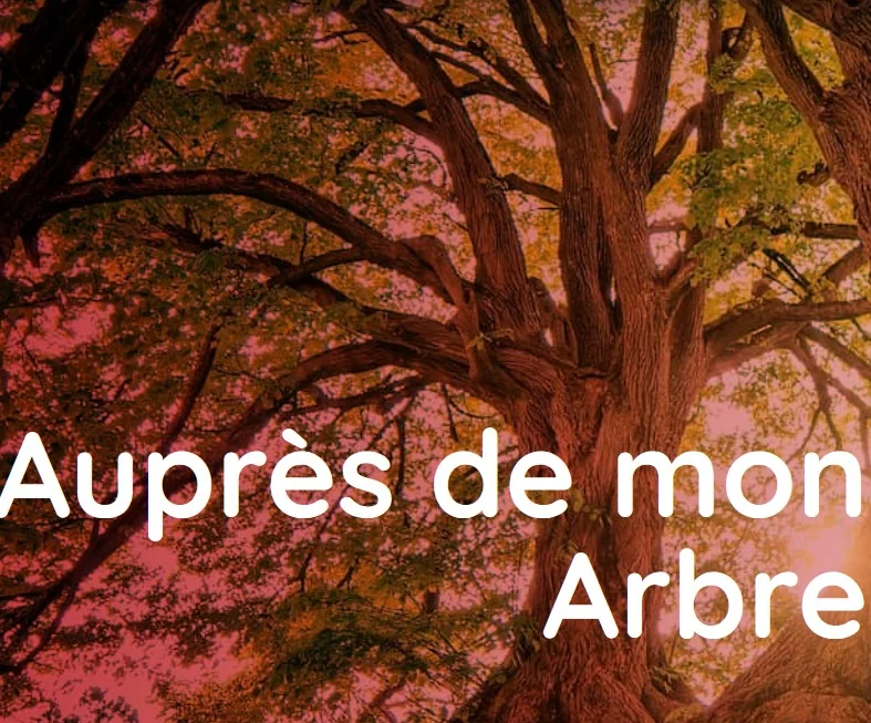 Auprès de Mon Arbre - Photo 3